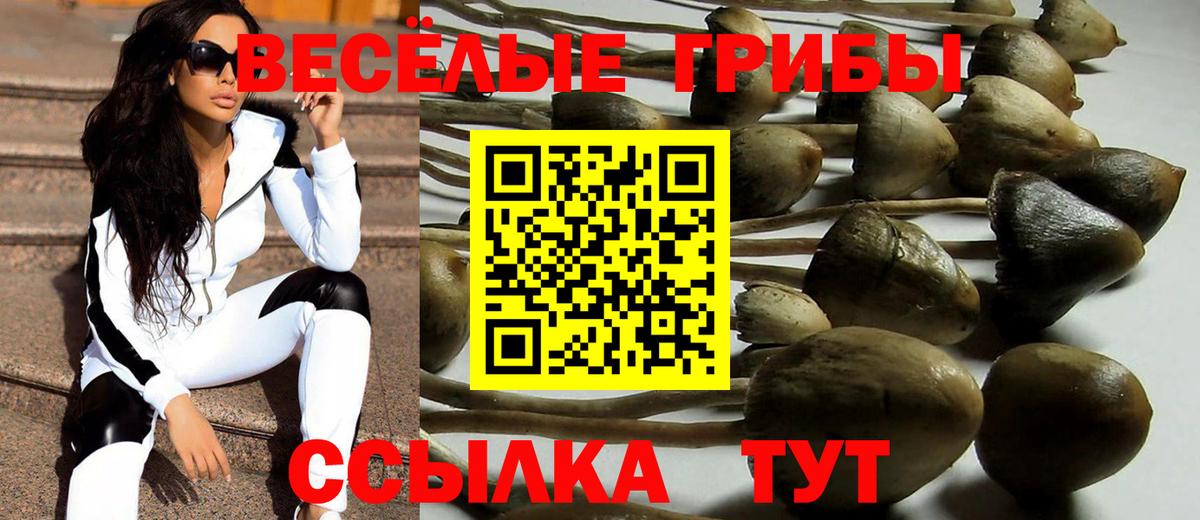 Галлюциногенные грибы Cubensis Муром