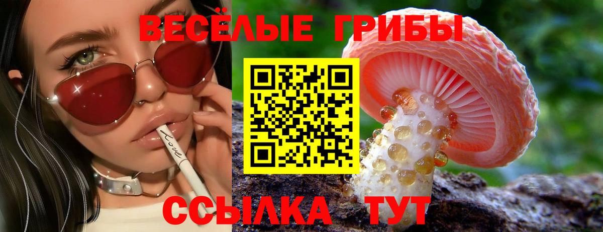 сколько стоит  Галлюциногенные грибы Cubensis  Вход с VPN  Муром  Псилоцибиновые грибы прущие грибы 